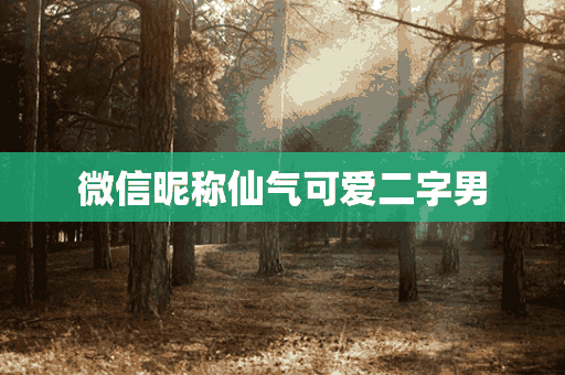 微信昵称仙气可爱二字男(微信昵称仙气可爱二字男生)